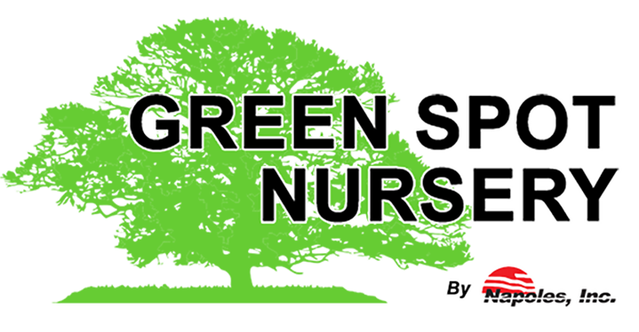 GreenSpot Nursery
