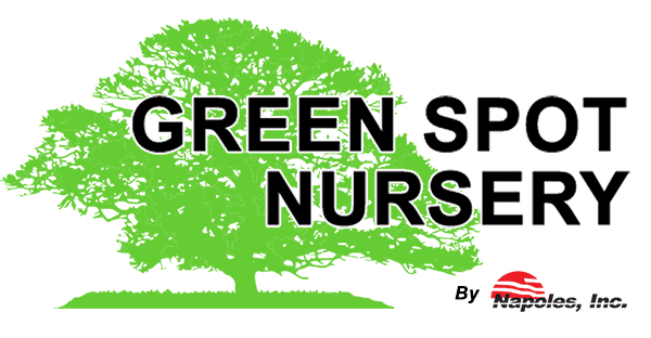 GreenSpot Nursery